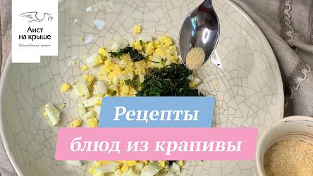 Рецепты блюд из крапивы