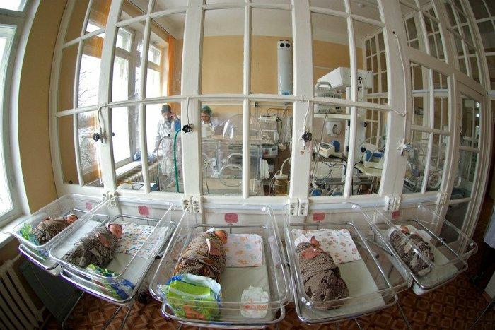 Рождаемость в США: особенности репродуктивного поведения в крупнейшей развитой стране мира