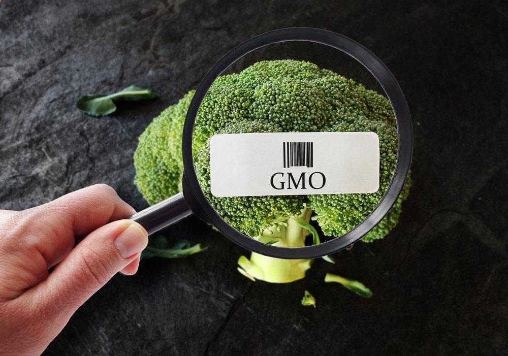 ГМО: три печальных буквы или выбор человечества?