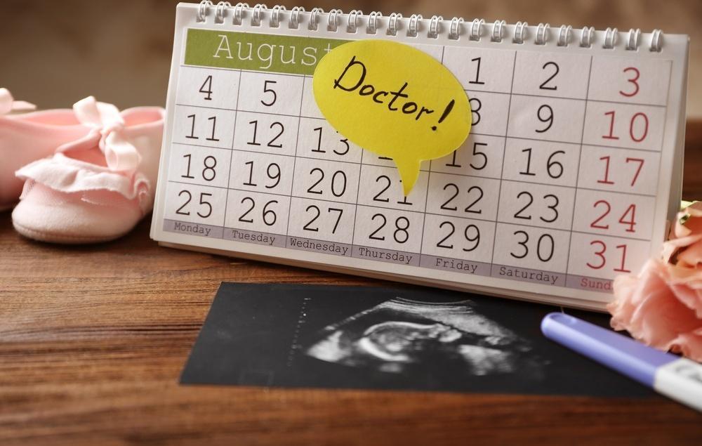 Календарь беременности: зачем он нужен?