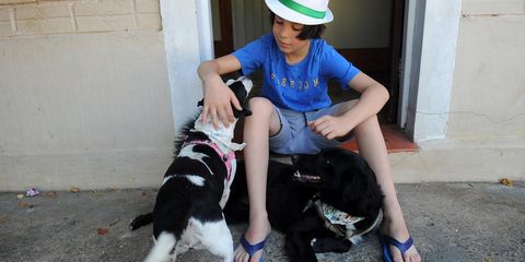 11-летний мальчик посвятил себя спасению бездомных собак