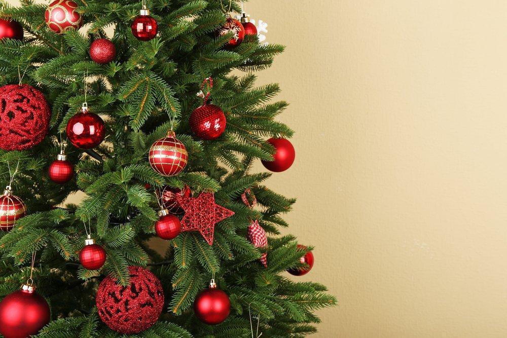 Легенды и мифы о новогодней елке