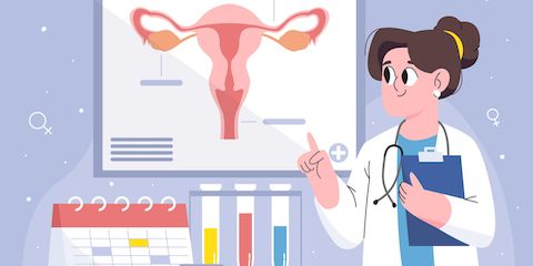 Что такое гиперплазия эндометрия матки?