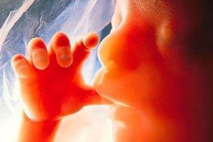 Еще один штат США ввел запрет на проведение абортов