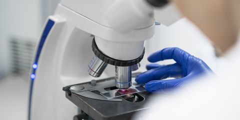 Российские врачи смогут проверять эмбрион на муковисцидоз на этапе ЭКО