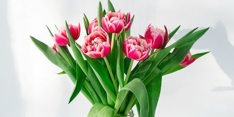 Флорист поделилась советами, как выбрать цветы к 8 Марта