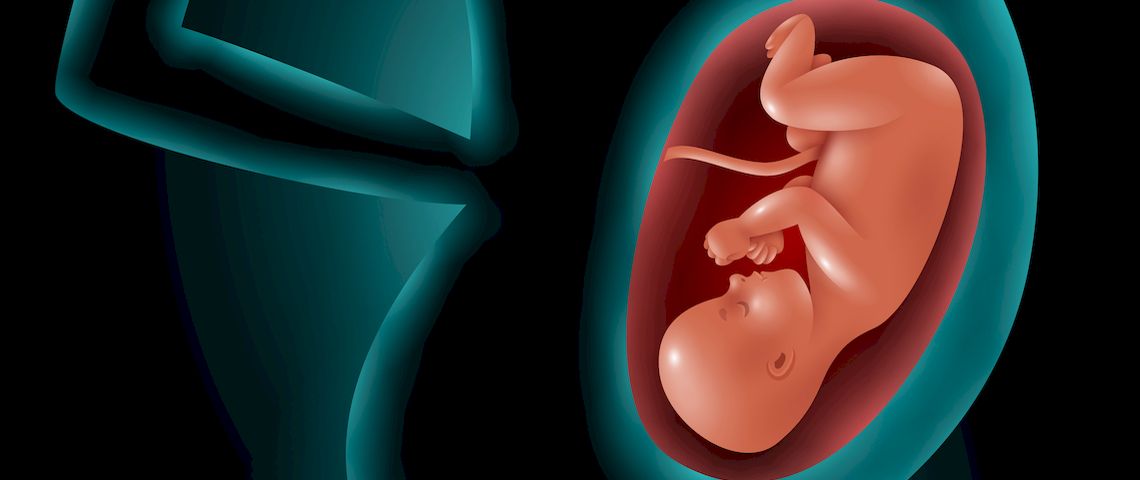 Что происходит с органами беременной женщины по мере роста ребенка?