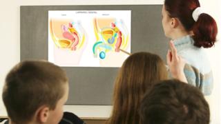От кого залетела: американцы удивились школьному заданию по анатомии