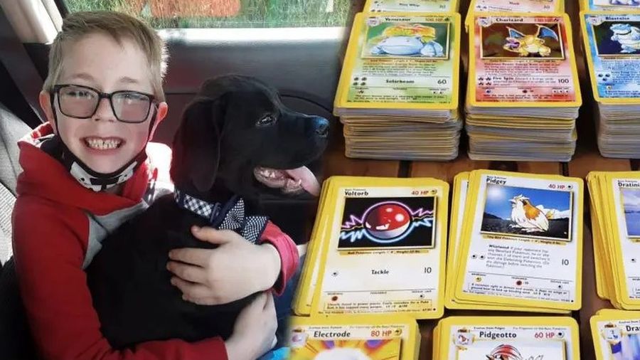 Ребенок продал коллекцию карточек с покемонами ради лечения щенка