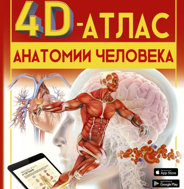 Топ-5 познавательных книг по анатомии для детей