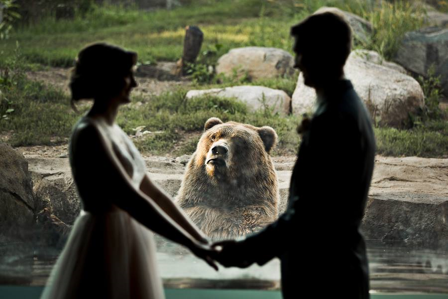 Медведь расплакался на свадьбе у американцев