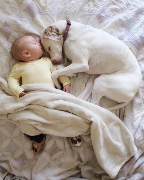 Трогательная история дружбы малыша и собаки из приюта