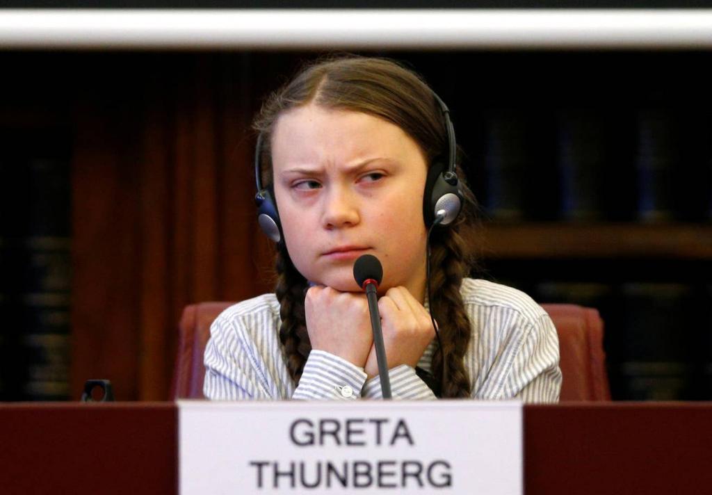 Грета Тунберг: лицемерие и хайп на имени ребенка