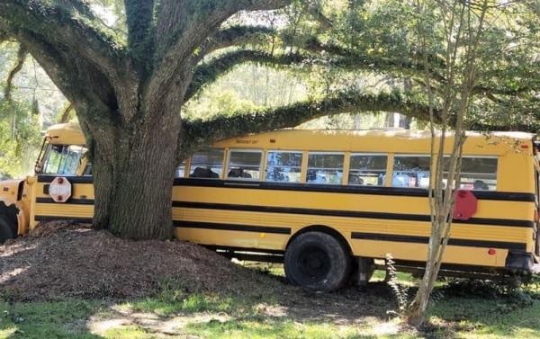 11-летний мальчик угнал школьный автобус, показывая полицейским неприличный жест