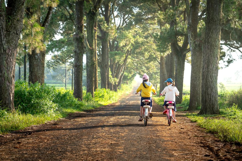 Ребёнок и велосипед: больше, чем развлечение