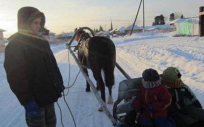 Уральский школьник добирается на учёбу на лошади  