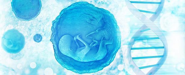 Учёные: первые генно-модифицированные дети обречены на раннюю смерть