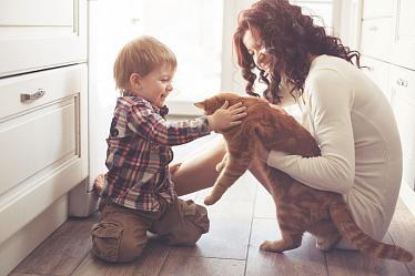 Какое домашнее животное подойдет вашему ребенку?