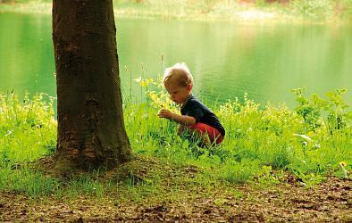 Как научить ребенка бережно относиться к окружающей среде?