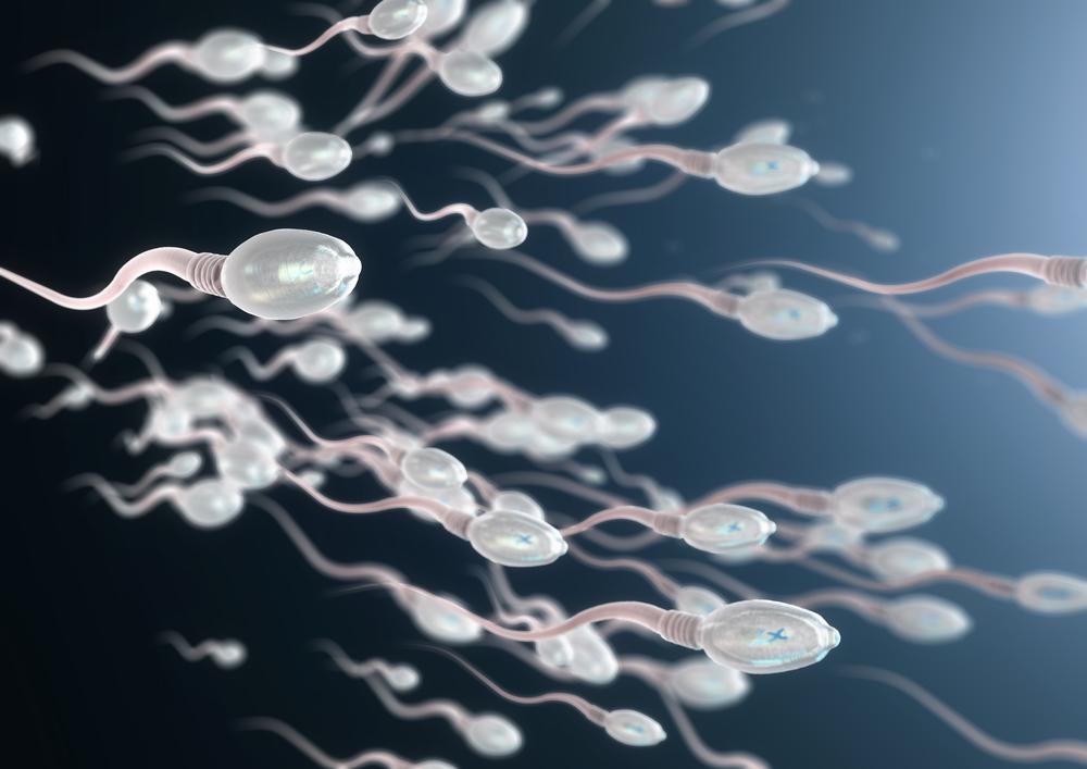Зачатие – как внутри нас появляется человечек?